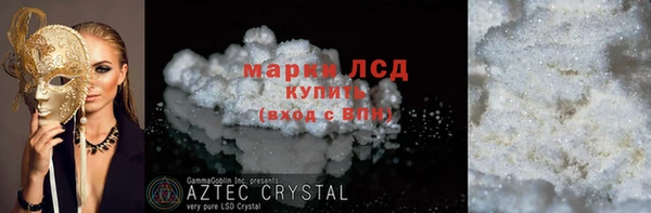 прущие грибы Медвежьегорск