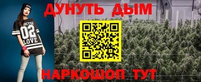 СК Донецк